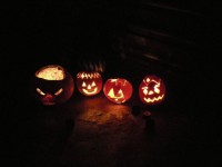 /album/fotogalerie-haloween/a20053-jpg/